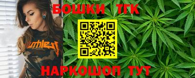 индика Гусь-Хрустальный