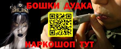 индика Гусь-Хрустальный